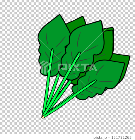 Spinach Vegetables Simple Spinach Vegetables Simple 131751263