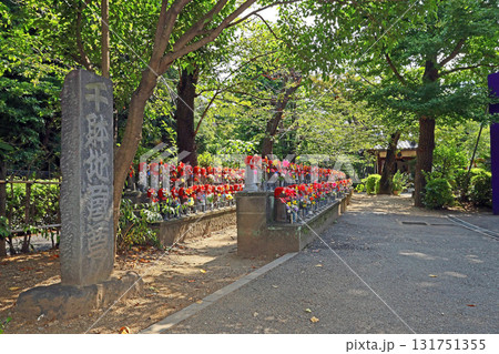 増上寺(港) 増上寺(港) 131751355