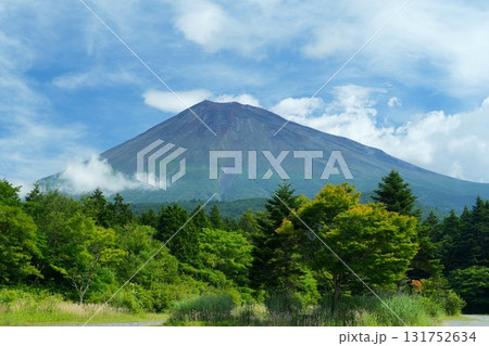 夏空を背景に白雲湧く静岡県側みた富士山の風景 Ver1 131752634