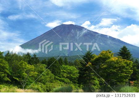 夏空を背景に白雲湧く静岡県側みた富士山の風景  Ver2 131752635