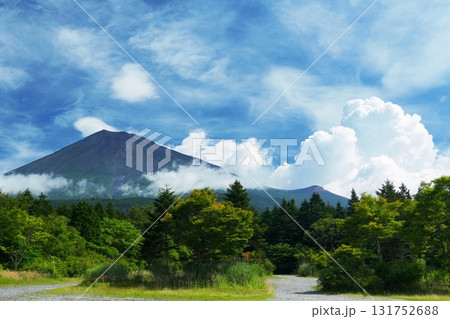夏空を背景に入道雲が湧き立つ静岡県側から見た富士山の頂 131752688