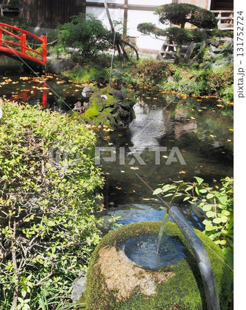 山梨県　富士山の湧き水が湧く神池　10月 131752724