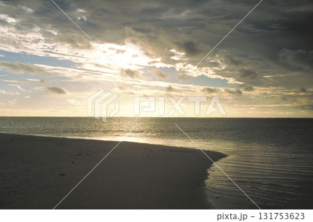 南半球の風景  131753623