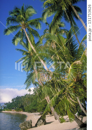 南半球の風景  131753626