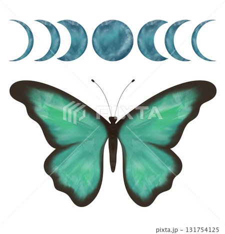 Wonderful delicate turquoise and green butterfly and moon phases. Hand made digital illustration, isolated objects Wonderful delicate turquoise and green butterfly and moon phases. Hand made digital illustration, isolated objects 131754125