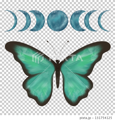 Wonderful delicate turquoise and green butterfly and moon phases. Hand made digital illustration, isolated objects Wonderful delicate turquoise and green butterfly and moon phases. Hand made digital illustration, isolated objects 131754125