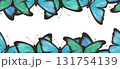 Turquoise, blue and green butterflies, gentle, airy, flying. Watercolor digital illustration.Seamless border on a white background 131754139