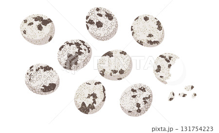 うずらのたまご　イラストセット 131754223