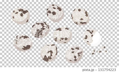 Quail egg illustration set 131754223