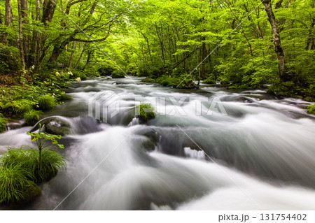 【青森県_奥入瀬渓流_三乱の流れ】清涼感たっぷりのロケーション  131754402