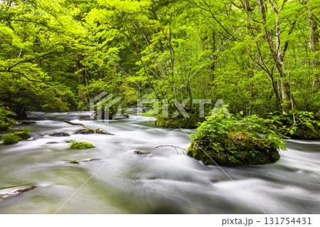 【青森県_奥入瀬渓流_三乱の流れ】清涼感たっぷりのロケーション  131754431