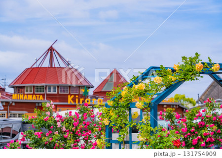 【熊本県】満開のバラが美しい、エコパーク水俣バラ園 131754909