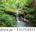 黒山三滝　迎え滝 131754915