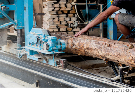 Modern sawmill. Industry sawing boards from logs 131755426