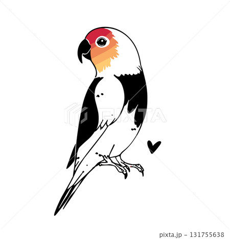 Lovebird. Lovebird simple black and white line art vector logo 131755638
