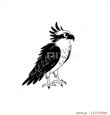 Osprey. Osprey simple black and white line art vector logo 131755684