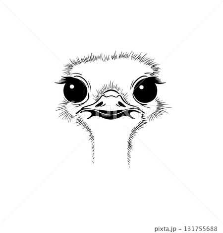 Ostrich. Ostrich simple black and white line art vector logo Ostrich. Ostrich simple black and white line art vector logo 131755688