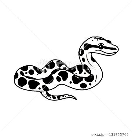 Python. Python simple black and white line art...のイラスト素材 [131755763 ...