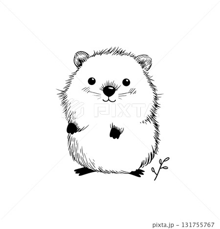 Quokka. Quokka simple black and white line art vector logo 131755767