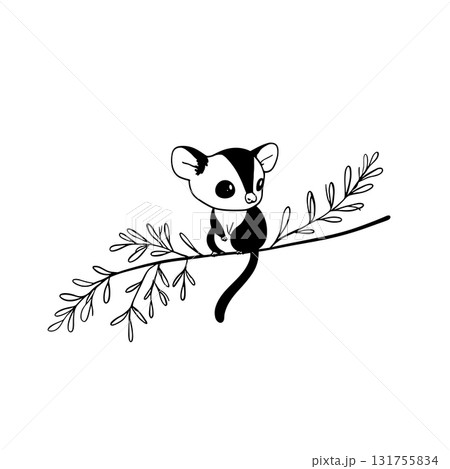 Sugar Glider. Sugar Glider simple black and white line art vector logo Sugar Glider. Sugar Glider simple black and white line art vector logo 131755834