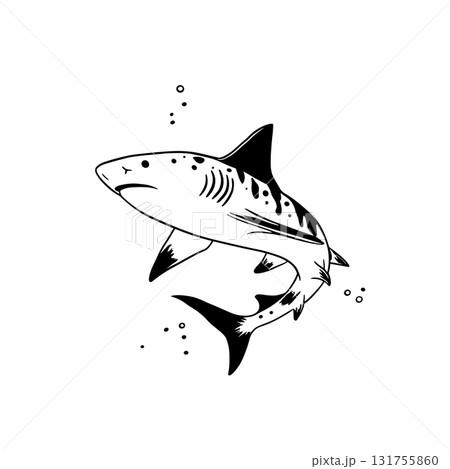 Tiger Shark. Tiger Shark simple black and white line art vector logo 131755860
