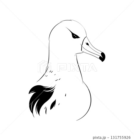 Albatross. Albatross simple black and white line art vector logo 131755926