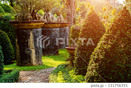 Luxury landscape design of the tropical garden.  131756355