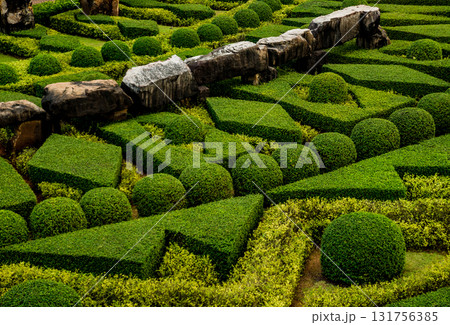 Luxury landscape design of the tropical garden. Luxury landscape design of the tropical garden. 131756385