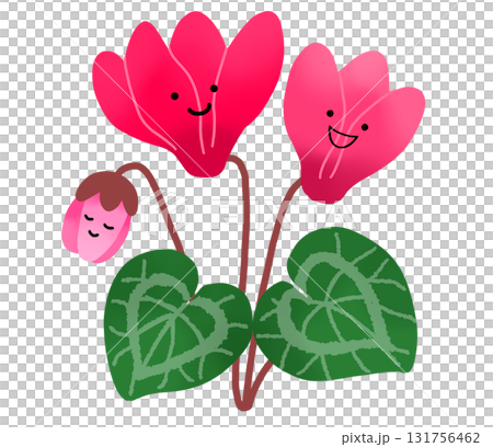 ピンク色の可愛らしいシクラメンの花 131756462