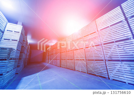 Empty industrial freezer warehouse for vegetable storage. 131756610