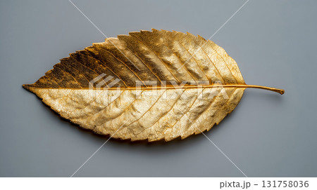 金箔で覆われた葉のアートなクローズアップ構図 金箔で覆われた葉のアートなクローズアップ構図 131758036