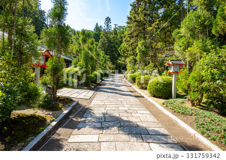 【奈良県】奈良市 霊山寺 (2025/10/07 撮影) 131759342