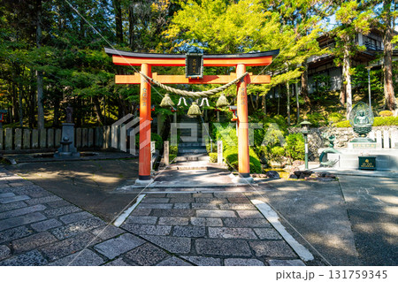 【奈良県】奈良市 霊山寺 (2025/10/07 撮影) 131759345