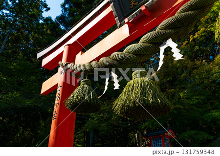 【奈良県】奈良市 霊山寺 (2025/10/07 撮影) 【奈良県】奈良市 霊山寺 (2025/10/07 撮影) 131759348