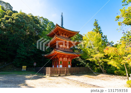 【奈良県】奈良市 霊山寺 (2025/10/07 撮影) 131759358