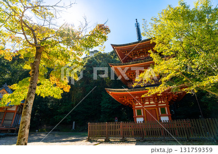 【奈良県】奈良市 霊山寺 (2025/10/07 撮影) 131759359