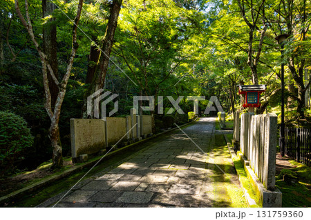 【奈良県】奈良市 霊山寺 (2025/10/07 撮影) 【奈良県】奈良市 霊山寺 (2025/10/07 撮影) 131759360