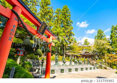 【奈良県】奈良市 霊山寺 (2025/10/07 撮影) 131759361