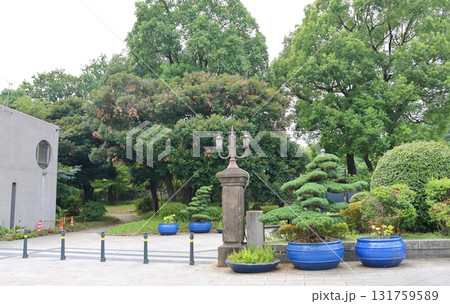 日比谷公園 東京都千代田区日比谷公園 日比谷公園 東京都千代田区日比谷公園 131759589