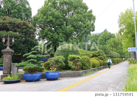 日比谷公園 東京都千代田区日比谷公園 日比谷公園 東京都千代田区日比谷公園 131759591