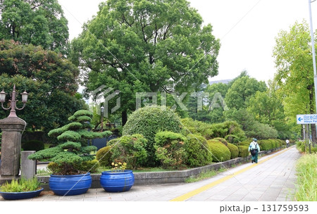 日比谷公園　東京都千代田区日比谷公園 131759593