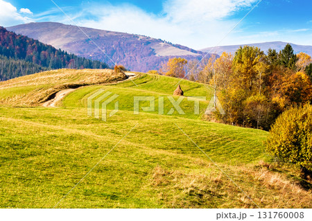 autumnal countryside of carpathian mountains. beautiful landscape of ukraine in morning light. scenery with trees in colorful foliage and meadows on rolling hills. wonderful place for photography autumnal countryside of carpathian mountains. beautiful landscape of ukraine in morning light. scenery with trees in colorful foliage and meadows on rolling hills. wonderful place for photography 131760008