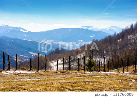 mountainous countryside on a sunny day. winter to spring season change scenery. melting snow and leafless trees on the rolling hills. view in to the distant valley of transcarpathia, ukraine mountainous countryside on a sunny day. winter to spring season change scenery. melting snow and leafless trees on the rolling hills. view in to the distant valley of transcarpathia, ukraine 131760009