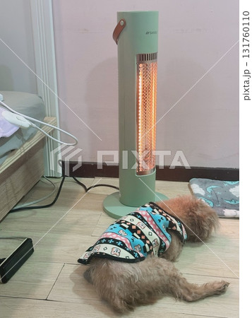 ペット お気に入り 愛玩動物 131760110