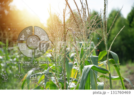 The concept of using AI and smart agriculture to increase productivity and quality of agricultural technology The concept of using AI and smart agriculture to increase productivity and quality of agricultural technology 131760469