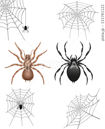 spider and web cartoon stock vector illustration spider and web cartoon stock vector illustration 131761122