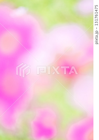 縦構図のコスモス畠のぼかし背景 縦構図のコスモス畠のぼかし背景 131761475