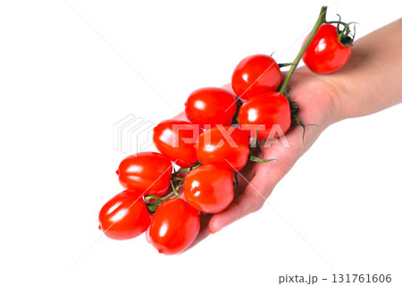 A branch of cherry tomatoes on the palm, white background, selective focus A branch of cherry tomatoes on the palm, white background, selective focus 131761606