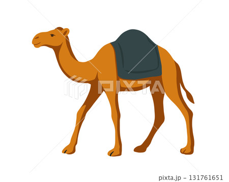 砂漠を歩くラクダのイラスト 砂漠を歩くラクダのイラスト 131761651