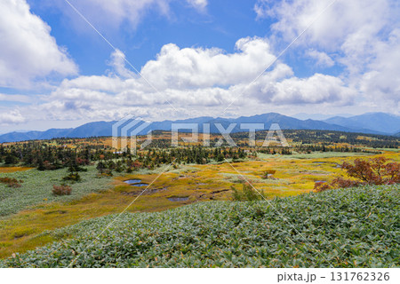 苗場山山頂湿原03 苗場山山頂湿原03 131762326